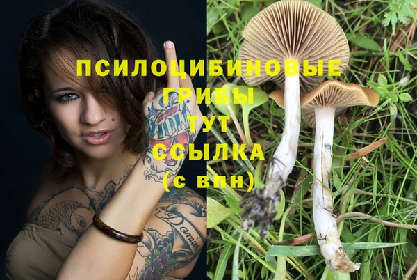 mdpv Алзамай