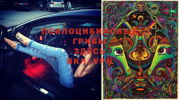 крисы Алексин