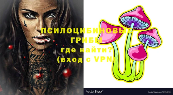 твердый Магадан