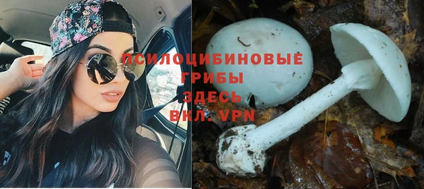 кристаллы Абинск