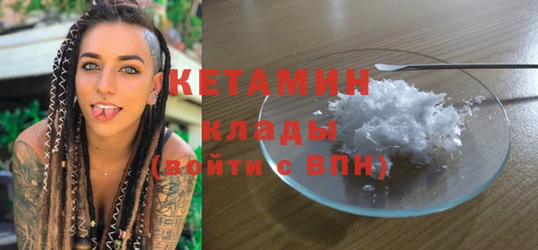 крисы Алексин
