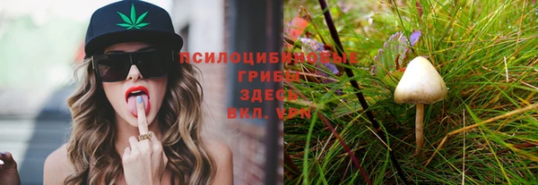 кокс Алексеевка
