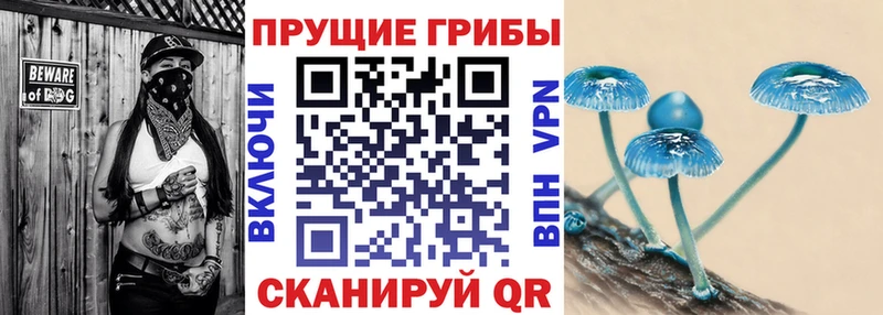 Галлюциногенные грибы Psilocybine cubensis  Орёл 